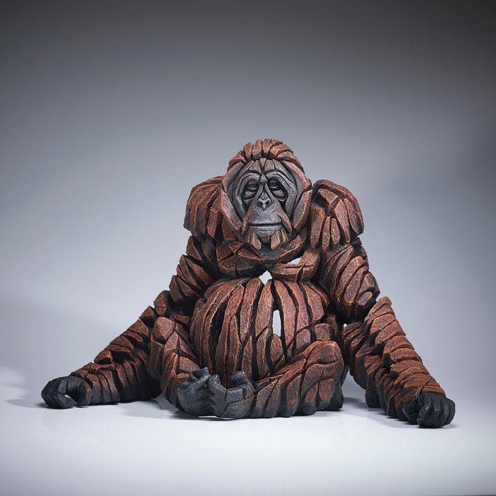 ADULT ORANGUTAN