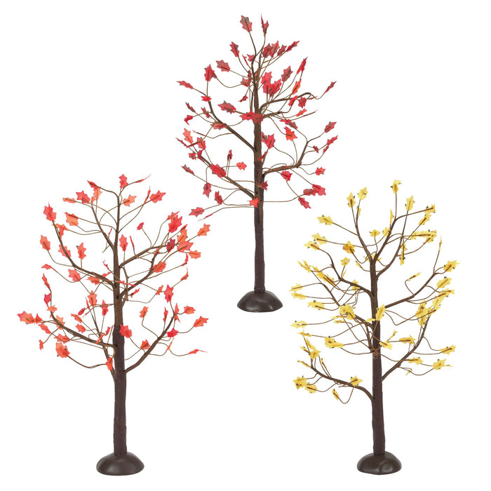 September Oaks S/3