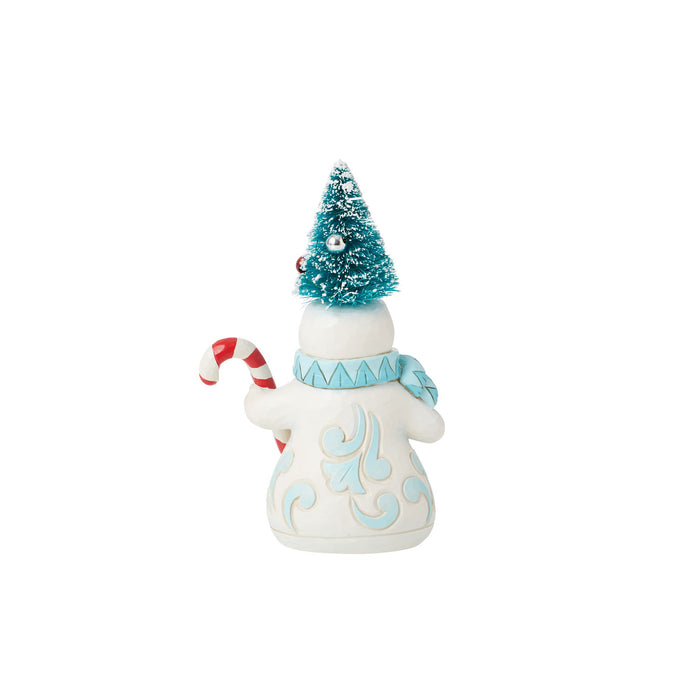Pint Snowman Sisal Hat Fig
