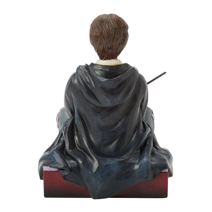 Harry Potter with Wand