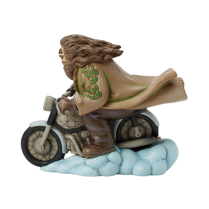 Hagrid on Bike