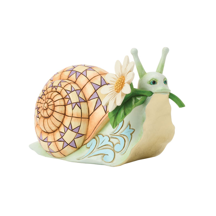 Snail with Daisy Flower Fig