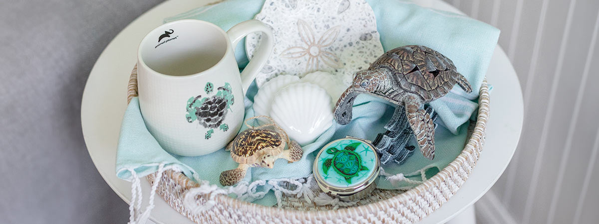 Turtle Gift Basket
