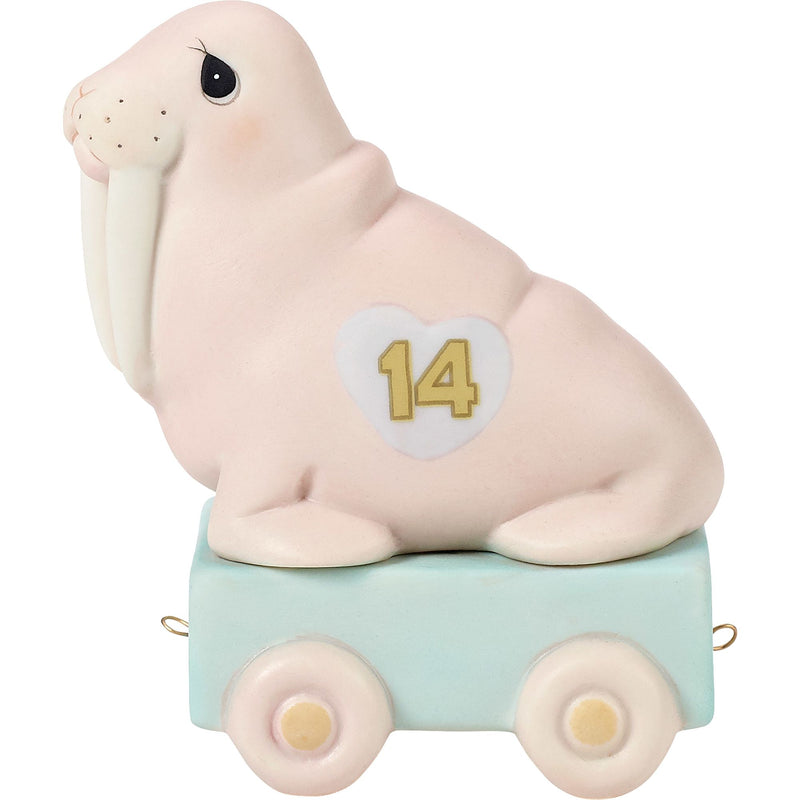 Bday Train Walrus Age 14 Fig