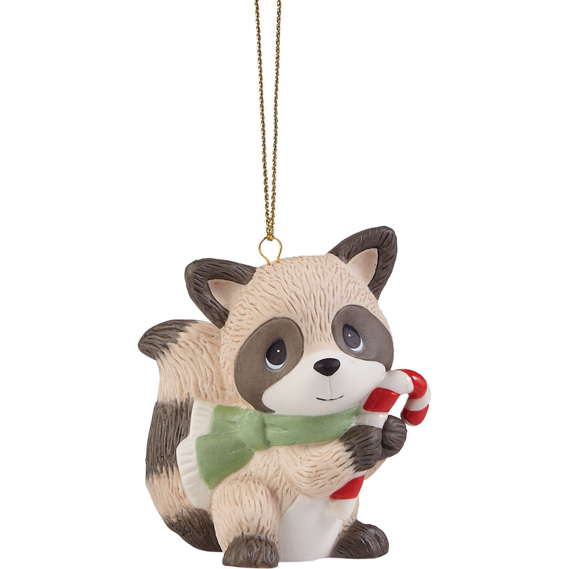 Raccoon w Candy Cane Ornament