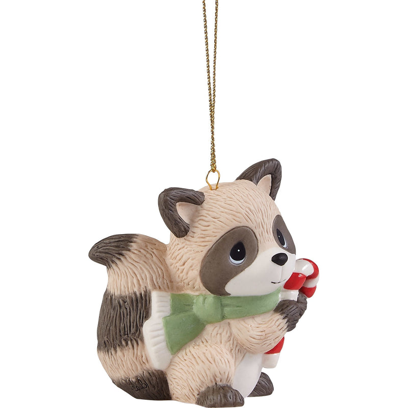 Raccoon w Candy Cane Ornament
