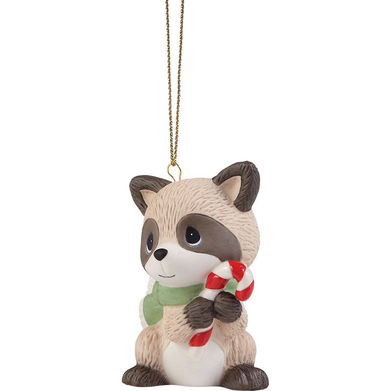 Raccoon w Candy Cane Ornament
