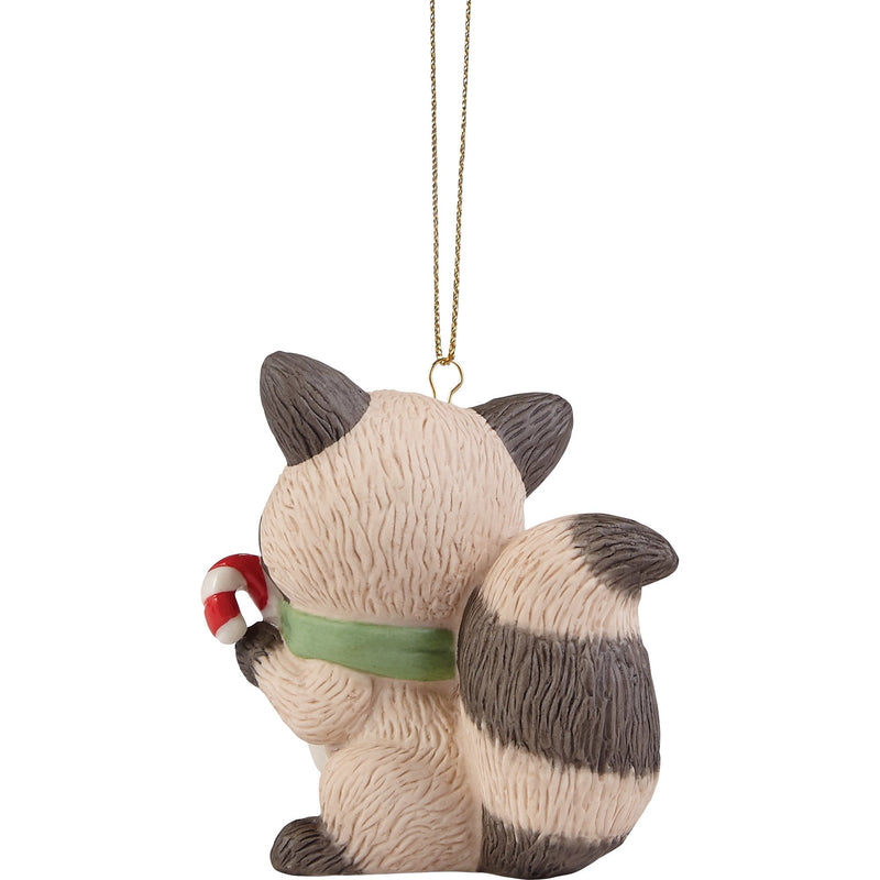 Raccoon w Candy Cane Ornament