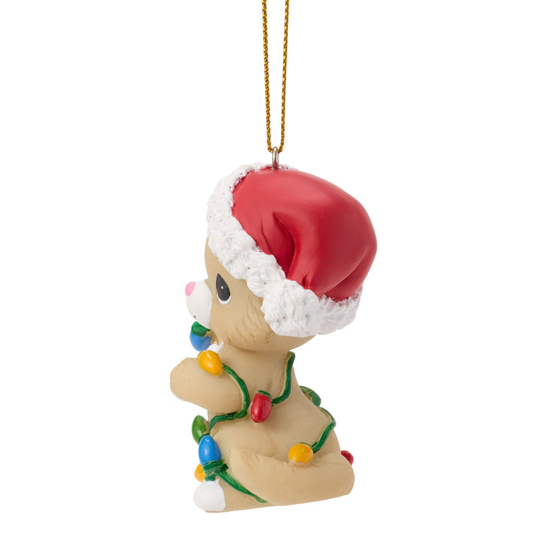 Cat Ornament