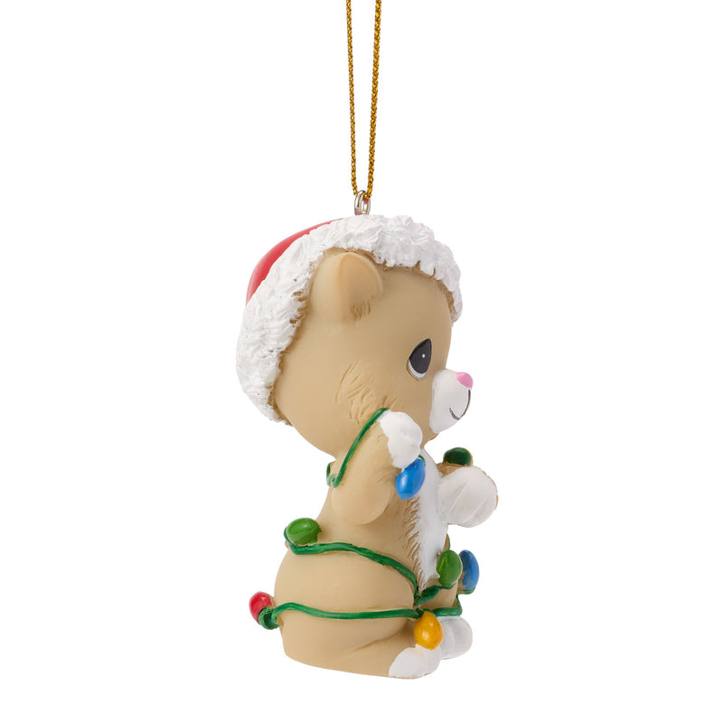 Cat Ornament