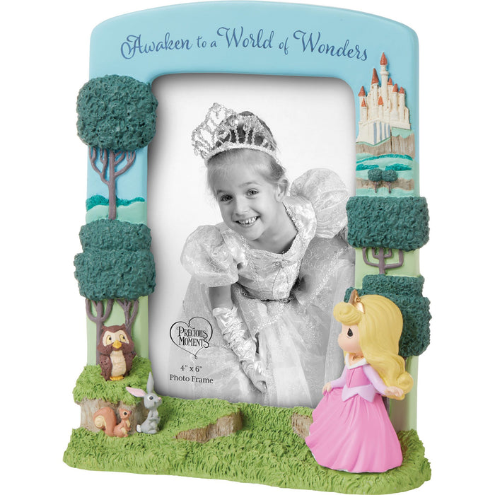Aurora Sculpted Photo Frame