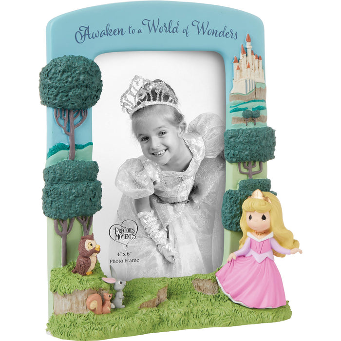 Aurora Sculpted Photo Frame