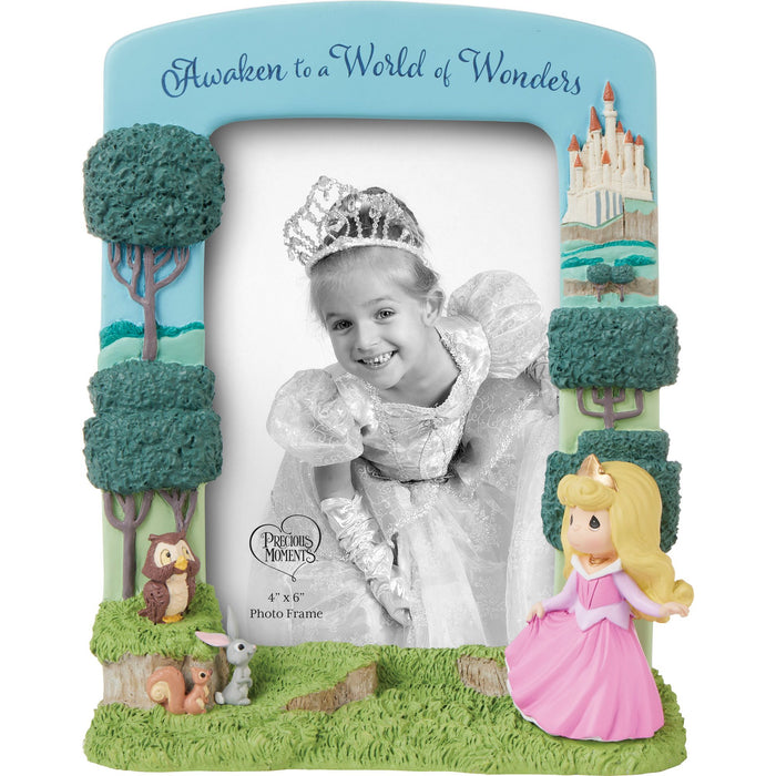 Aurora Sculpted Photo Frame