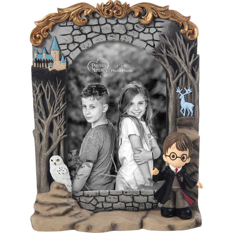 WB Harry Potter Photo Frame
