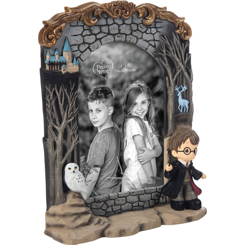 WB Harry Potter Photo Frame