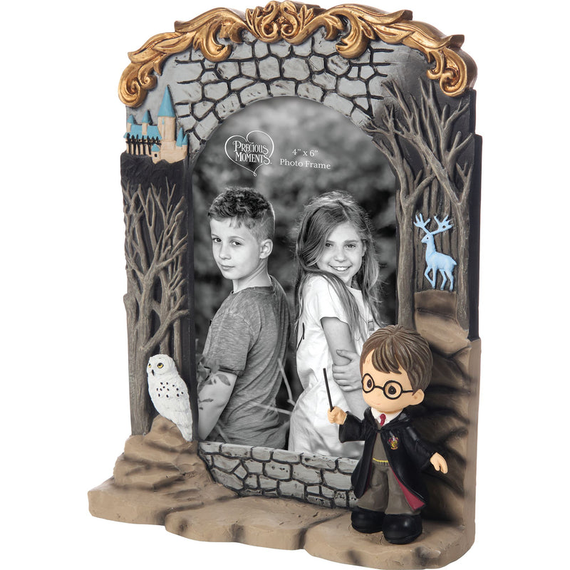 WB Harry Potter Photo Frame