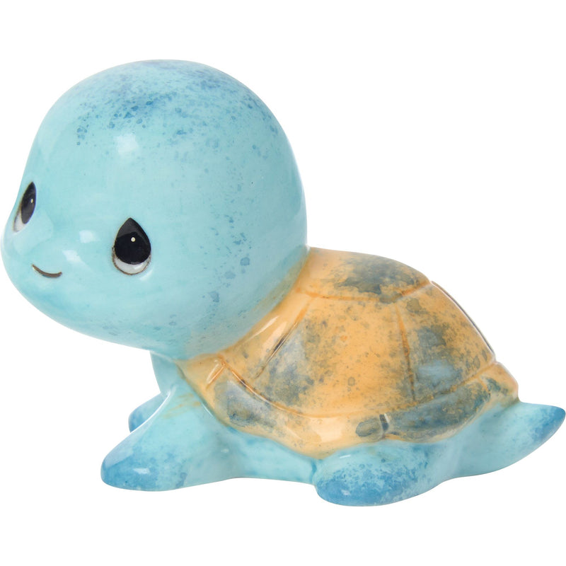 Sams Trtl Blue/Orange Shell Fg
