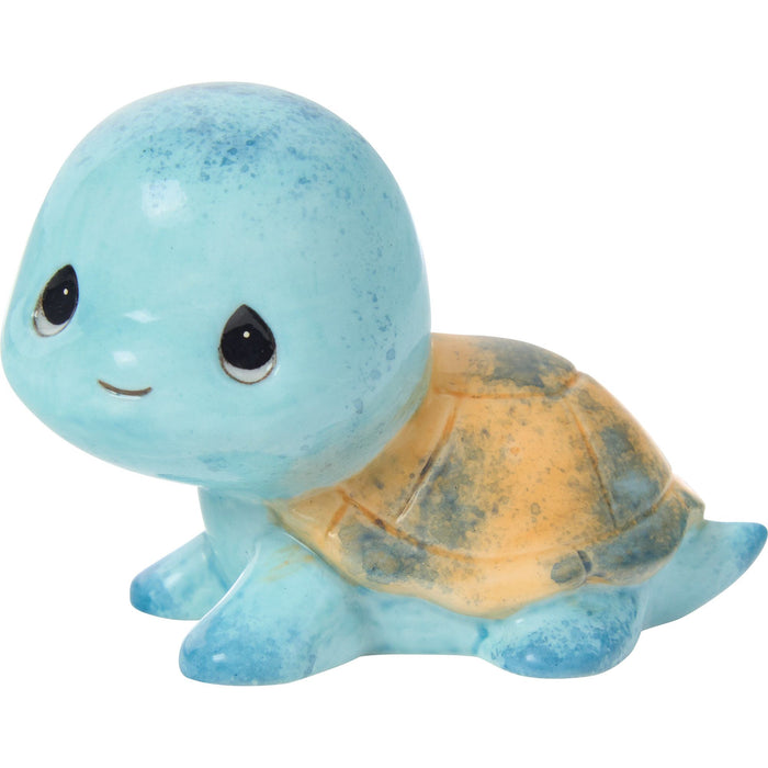 Sams Trtl Blue/Orange Shell Fg