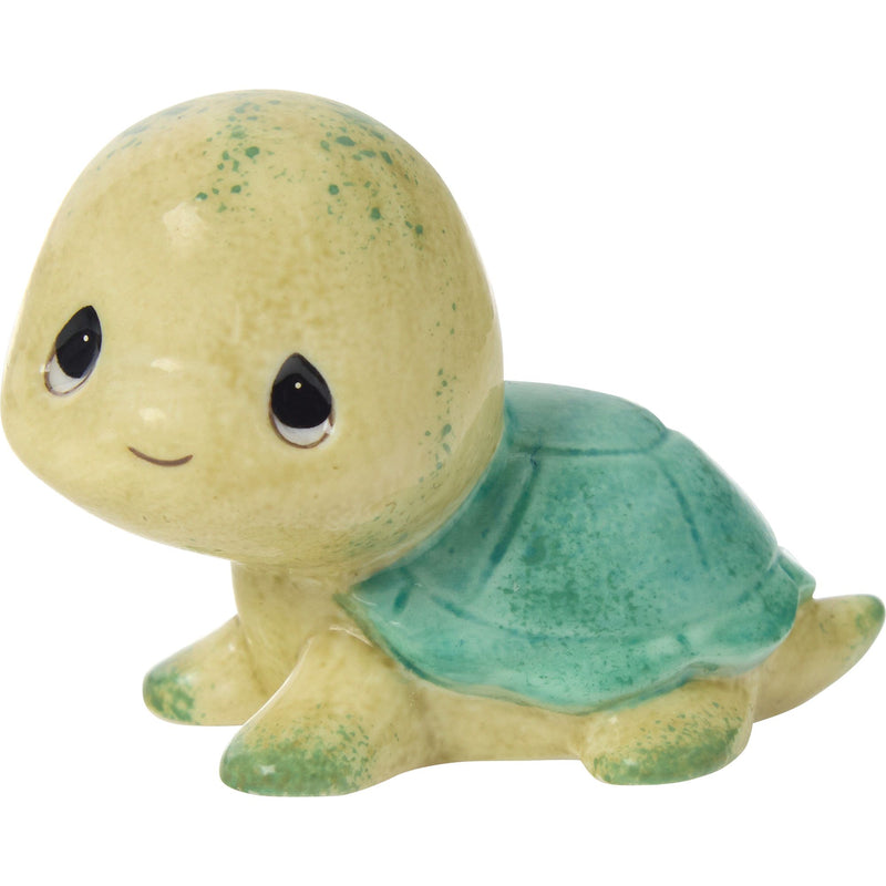 Sams Trtl Brown/Green Shell Fg