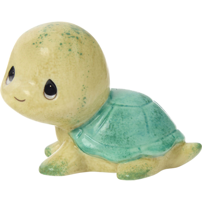 Sams Trtl Brown/Green Shell Fg