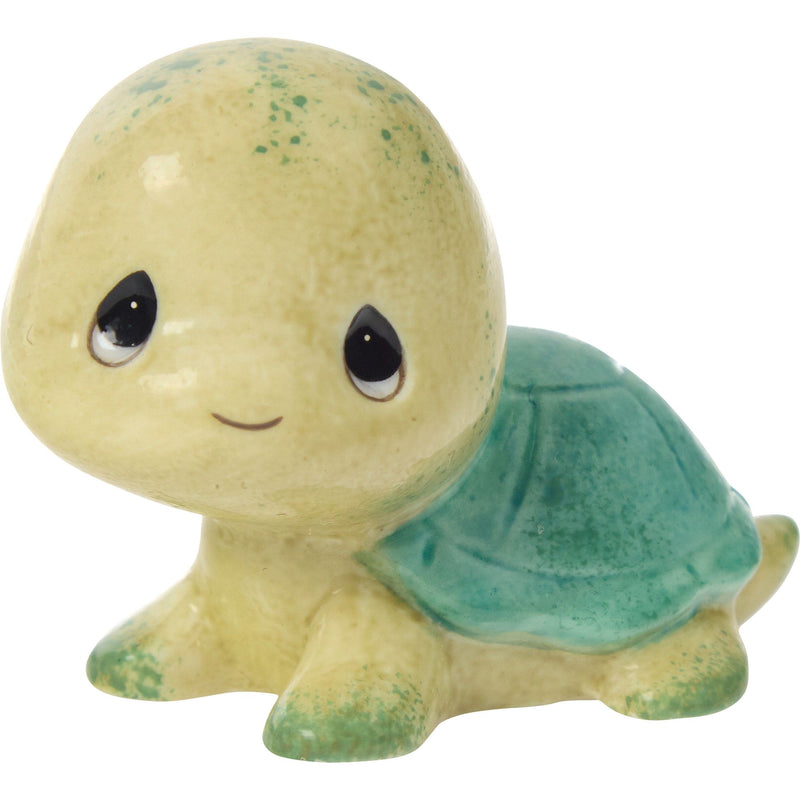 Sams Trtl Brown/Green Shell Fg
