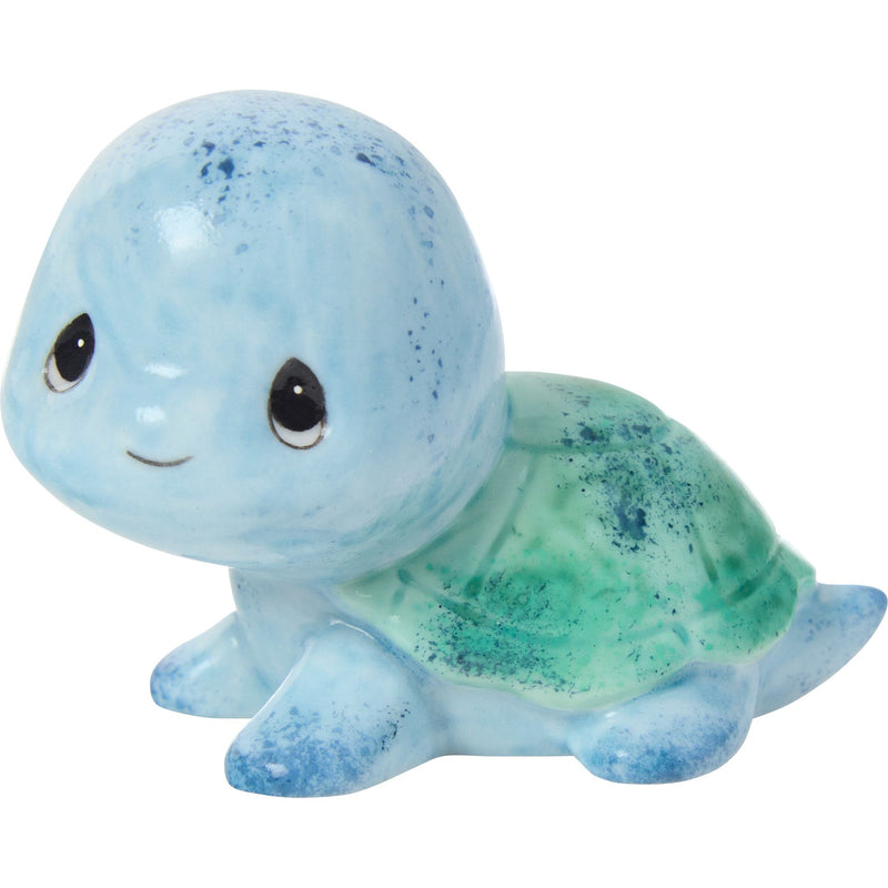 Sams Trtl Blue/Green Shell Fg
