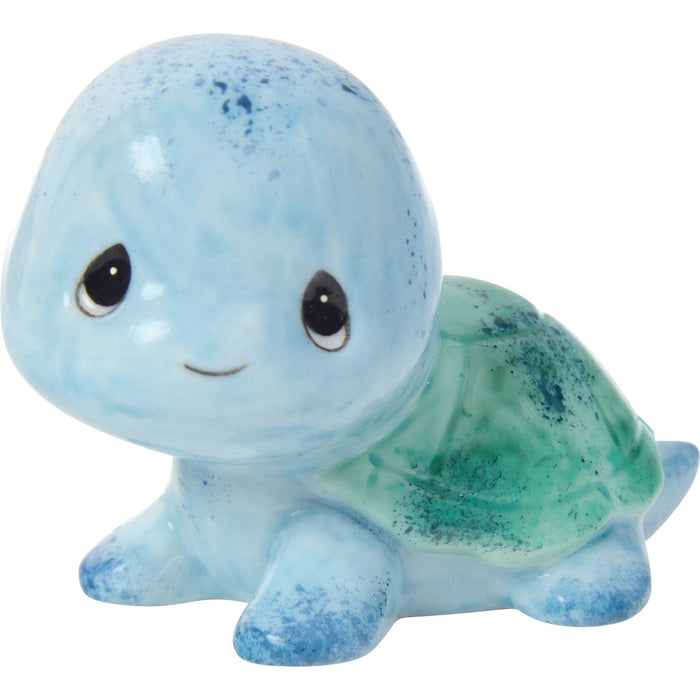 Sams Trtl Blue/Green Shell Fg