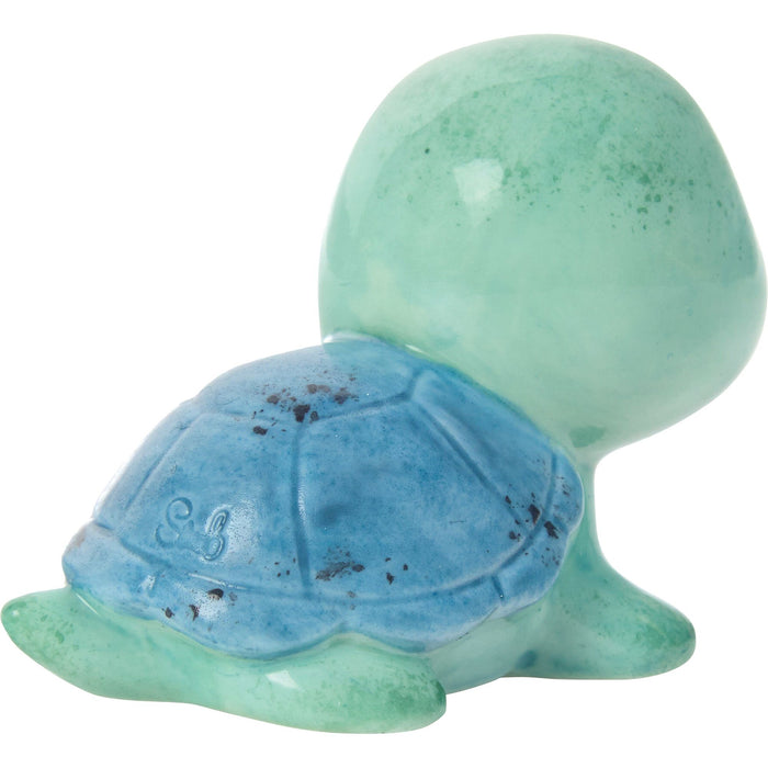 Sams Trtl Teal/Blue Shell Fg