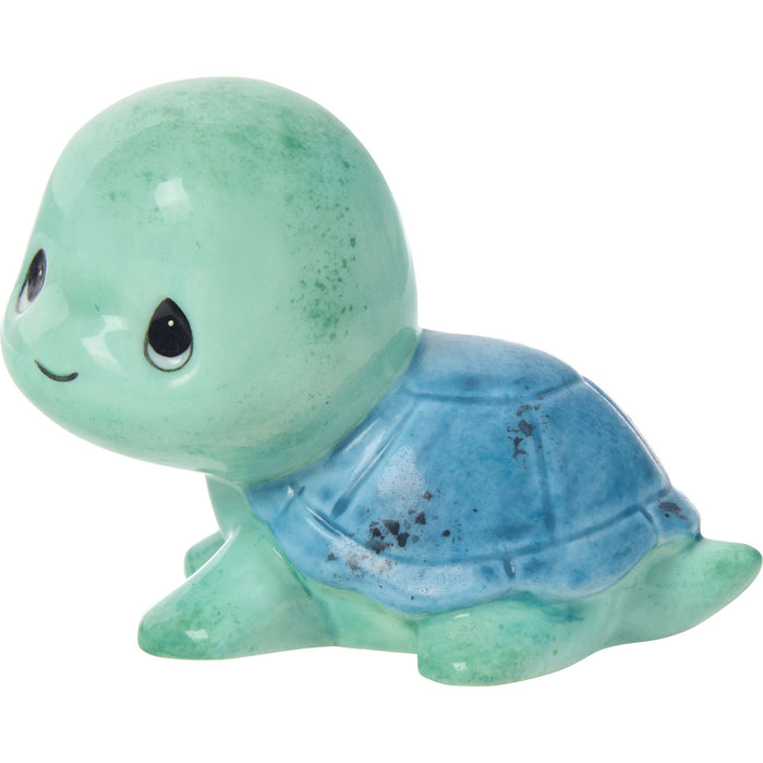 Sams Trtl Teal/Blue Shell Fg