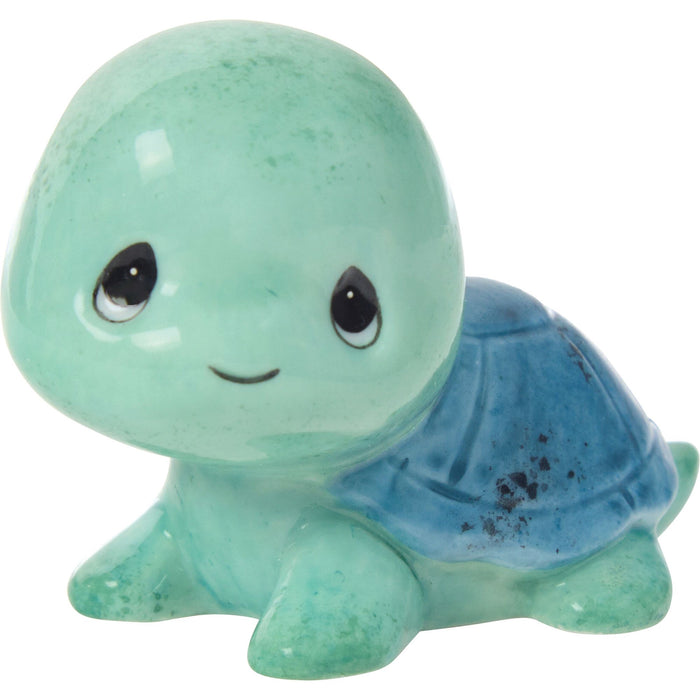Sams Trtl Teal/Blue Shell Fg