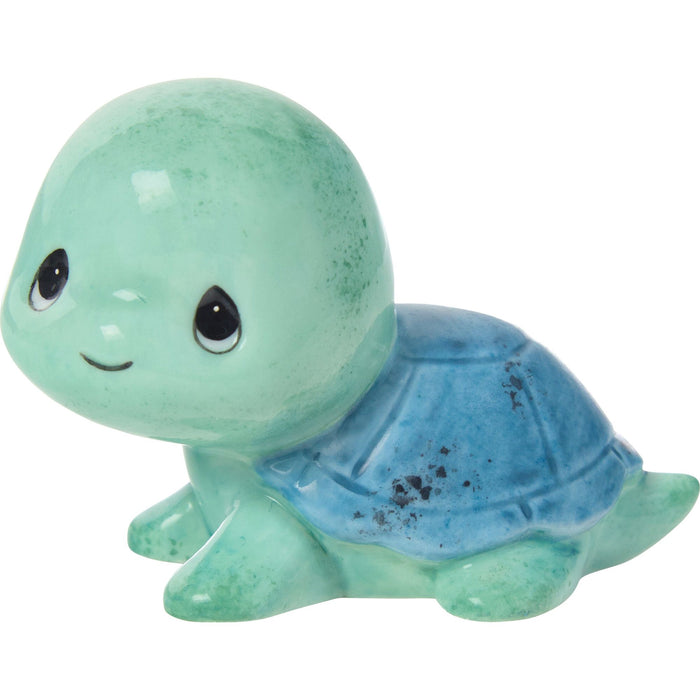 Sams Trtl Teal/Blue Shell Fg