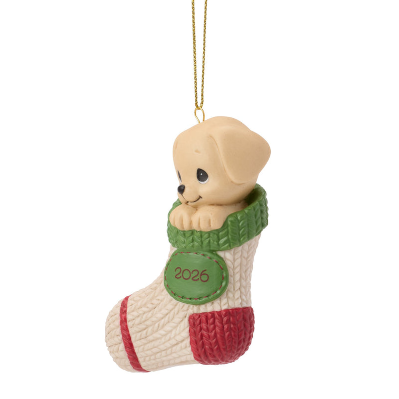 Dated 2026 Dog Ornament