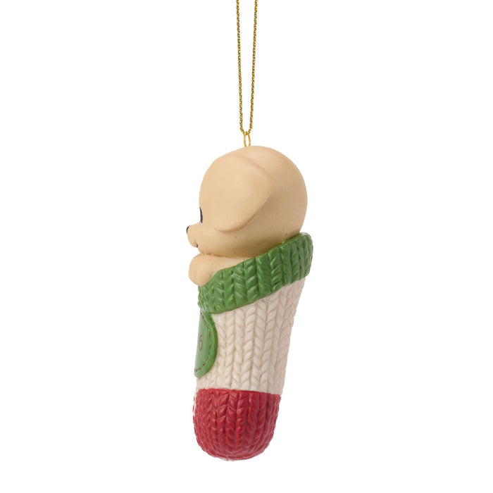 Dated 2026 Dog Ornament