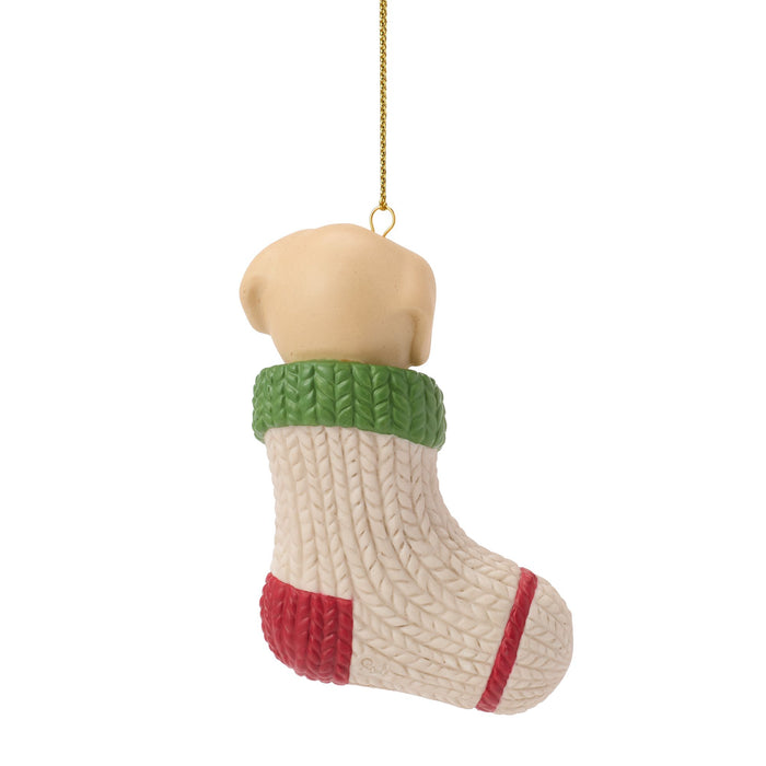 Dated 2026 Dog Ornament
