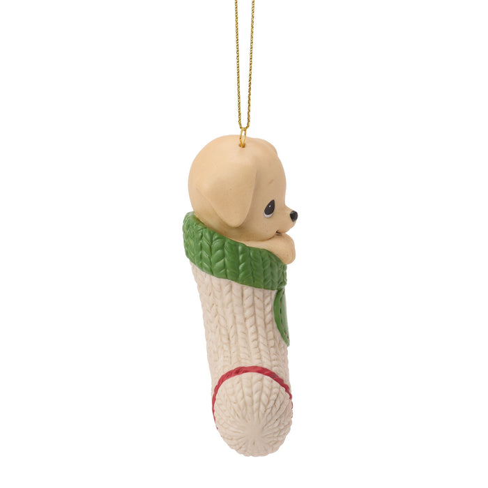 Dated 2026 Dog Ornament