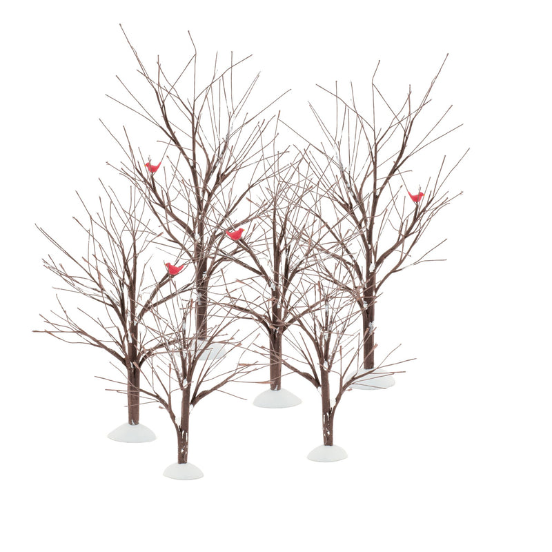 Bare Branch Tree