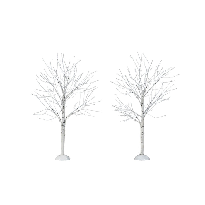 Winter Birch