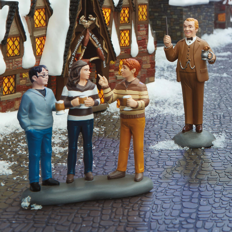 Professor Slughorn & the Trio