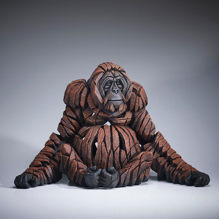 ADULT ORANGUTAN