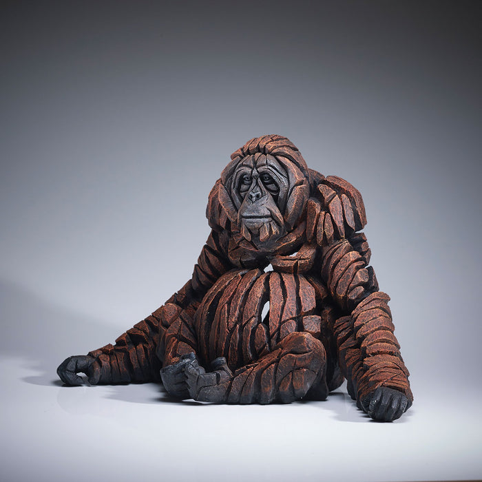 ADULT ORANGUTAN