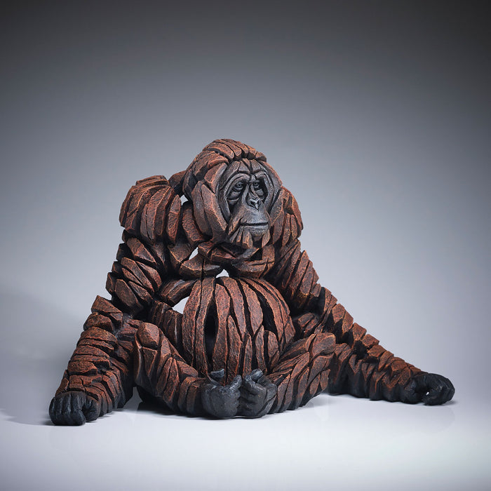 ADULT ORANGUTAN