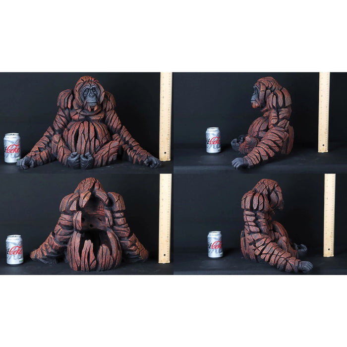 ADULT ORANGUTAN