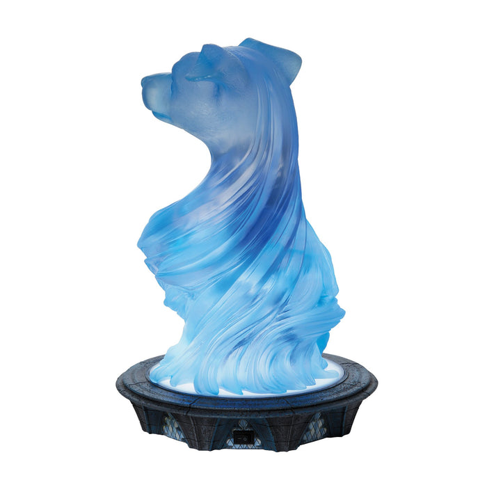 Ron & Light Up Patronus