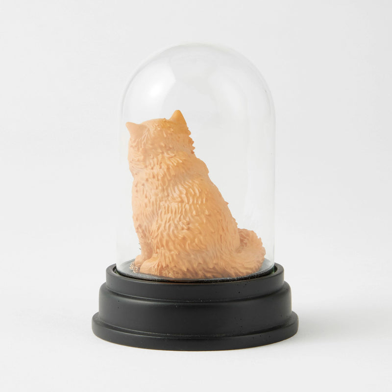 WZDWLD Crookshanks Cloche