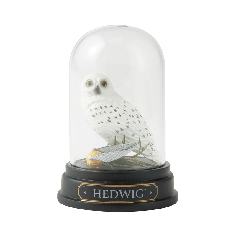 WZDWLD Hedwig Curiosity Cloche