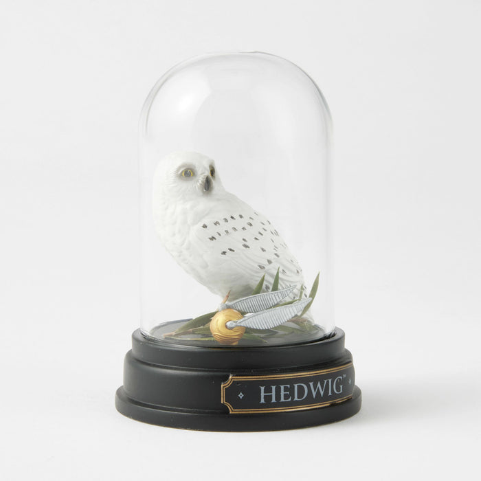 WZDWLD Hedwig Curiosity Cloche