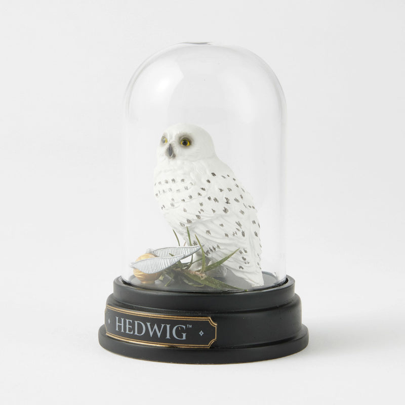 WZDWLD Hedwig Curiosity Cloche