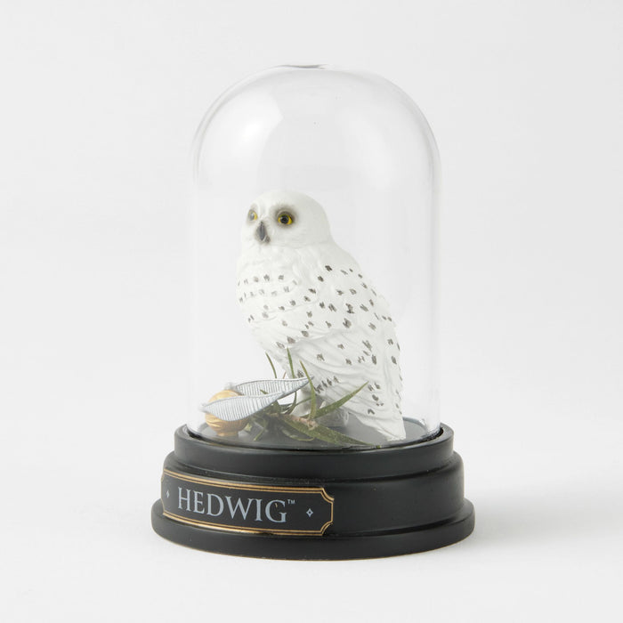 WZDWLD Hedwig Curiosity Cloche