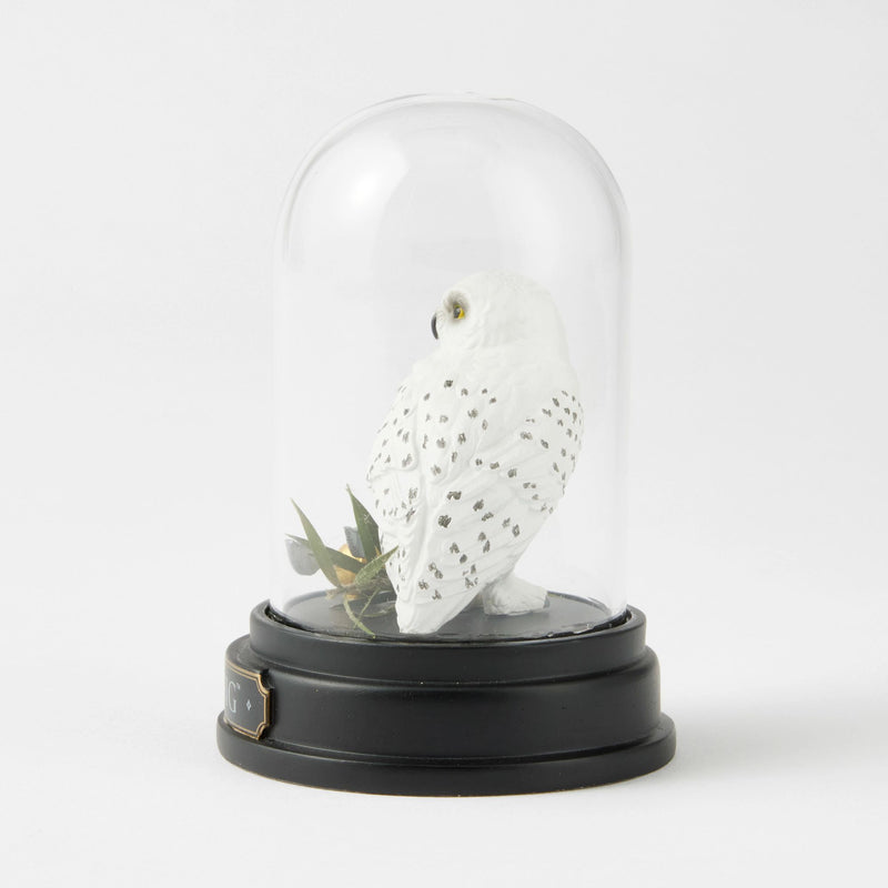 WZDWLD Hedwig Curiosity Cloche