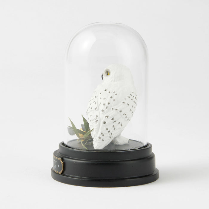 WZDWLD Hedwig Curiosity Cloche